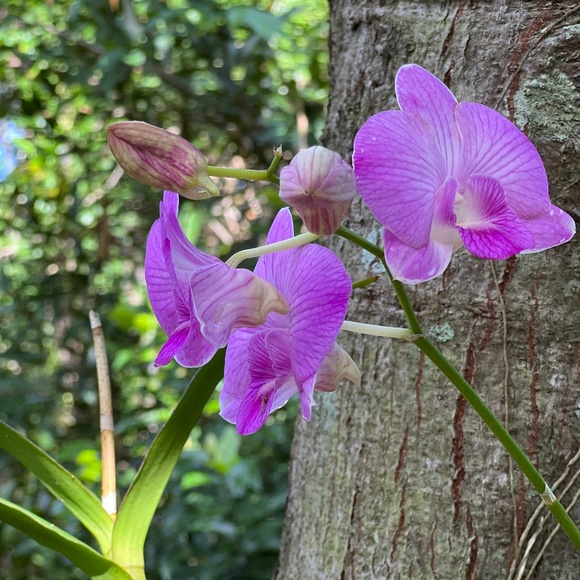 Meet your Posher, Kathy - Picture 1 of 1